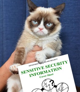 Grumpy Cat with SSI